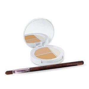 Sheer Cover Studio ? Conceal and Brighten Highlight Trio ? Two-Toned Concealers ? Shimmering Highlighter ? Light/Medium Shade ? With FREE Concealer Br - Image 1