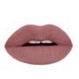 Aromi Matte Liquid Lipstick | Grey Brown Lip Color, Greige, Vegan, Cruelty-free, Waterproof, Long-Lasting, Dye and Lead-Free Lipstick (Sepia Brown)