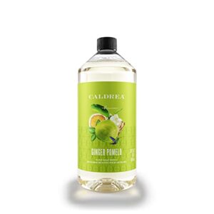 Caldrea Hand Soap Refill, Aloe Vera Gel, Olive Oil and Essential Oils to Cleanse and Condition, Ginger Pomelo Scent, 32 oz - Image 1