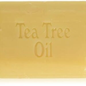 SoapWorks Tea Tree Soap Bar - Image 1