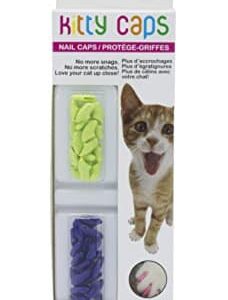 Kitty Caps Nail Caps for Cats Safe, Stylish & Humane Alternative to Declawing Stops Snags and Scratches, X-Small (Under 5 lbs), Spring Green with Glit - Image 1