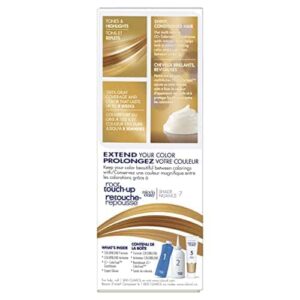 Clairol Nice'n Easy Liquid Permanent Hair Dye, 7 Dark Blonde Hair Color, Pack of 3 - Image 9