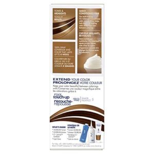 Clairol Nice'n Easy Liquid Permanent Hair Dye, 5 Medium Brown Hair Color, Pack of 3 - Image 9