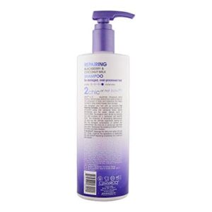 GIOVANNI 2chic Ultra-Repairing Shampoo - For Damaged, Over-Processed Hair, Helps Restore Hair's Natural Elasticity, Blackberry & Coconut Oil, Argan, S - Image 11