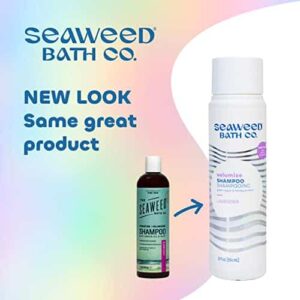 Seaweed Bath Co. Volumize Shampoo, Lavender Scent, 12 Ounce, Sustainably Harvested Seaweed, Green Algae, Barley Protein, For Normal to Fine Hair - Image 2