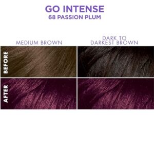 SoftSheen-Carson Dark and Lovely Ultra Vibrant Permanent Hair Color Go Intense Hair Dye for Dark Hair with Olive Oil for Shine and Softness, Passion P - Image 2