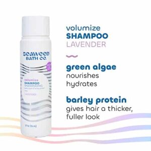 Seaweed Bath Co. Volumize Shampoo, Lavender Scent, 12 Ounce, Sustainably Harvested Seaweed, Green Algae, Barley Protein, For Normal to Fine Hair - Image 5