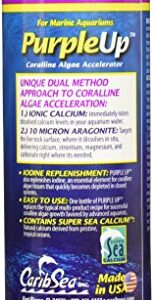 CaribSea Purple Up Algae Accelerator, 16-Ounce - Image 4