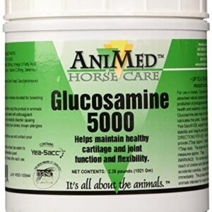 ANIMED GLUCOSAMINE 5000 Powder 2.5#? - Image 1