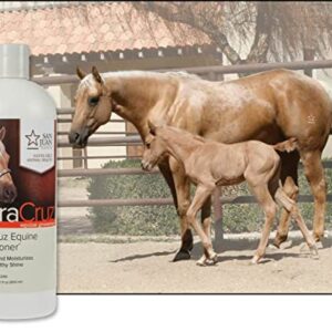 UltraCruz Equine Conditioner for Horses, 32 oz - Image 4