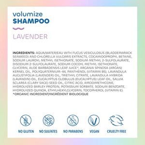 Seaweed Bath Co. Volumize Shampoo, Lavender Scent, 12 Ounce, Sustainably Harvested Seaweed, Green Algae, Barley Protein, For Normal to Fine Hair - Image 3