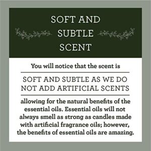 Our Own Candle Company Soy Wax Aromatherapy Candle, Simply Sage, 6.5 Ounce - Image 8