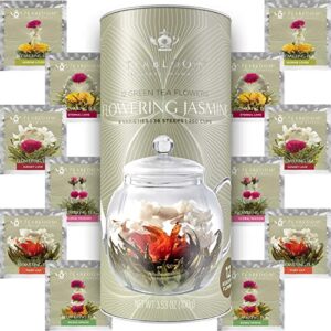 Teabloom Jasmine Flowering Tea ? Hand Tied Green Tea Leaves + Jasmine Blossoms Flowering Tea Creations ? Blooming Tea Gift Set ? 12-Pack, 36 Steeps, M - Image 1