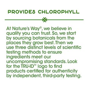 Nature's Way Premium Herbal Parsley Leaf Provides Chlorophyll, 100 Vegan Capsules - Image 3