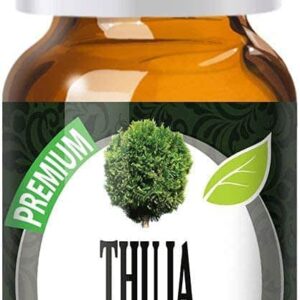 Healing Solutions 10ml Oils - Thuja Essential Oil - 0.33 Fluid Ounces - Image 1