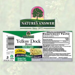 Nature's Answer Alcohol-Free Yellow Dock Root 2000mg 1oz | Promotes Liver Function | Natural Body Detox | Bloating Relief | Gluten-Free, Non-GMO, Vega - Image 2