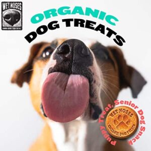 Wet Noses Organic USA Made All Natural Dog Treats, Berry Blast (Grain-Free), 1 pack - Image 5