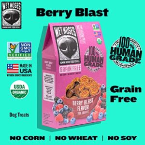 Wet Noses Organic USA Made All Natural Dog Treats, Berry Blast (Grain-Free), 1 pack - Image 3