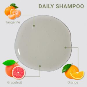 LOMA Daily Shampoo 12 Ounce (Clear Formula) - Image 2