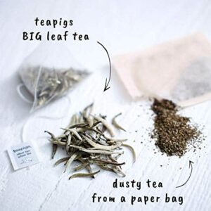 Teapigs Silver Tips White Tea Bags Made With Whole Leaves (1 Pack of 15 Tea bags) - Image 3