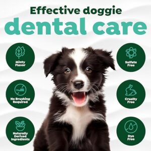 TropiClean Clean Teeth Gel for Puppies | No Brush Puppy Dental Gel | Puppy Toothpaste | Puppy Tooth Gel for Small Dogs | Made in the USA | 2.2 oz. - Image 4