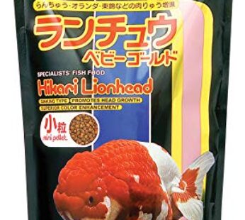 Hikari 12.3-Ounce Lionhead Sinking Pellets for Pets, Mini
