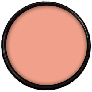 Mehron Makeup Foundation Greasepaint | Stage, Face Paint, Body Paint, Halloween Makeup 1.25 oz (38 g) (AUGUSTE) - Image 1