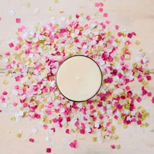 Bridgewater Candle 18oz Large Soy Wax Blend Fragranced Jar Candle-Let's Celebrate - Image 7