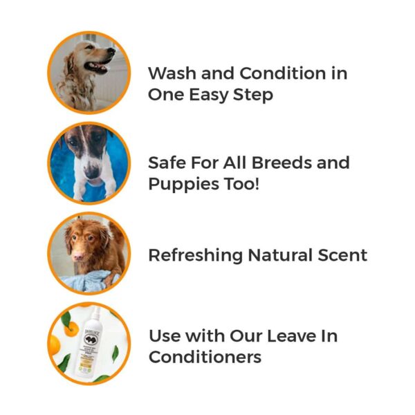 BarkLogic Sensitive Skin Moisturizing Shampoo, Tangerine, 16 fl oz -No Parabens, No Phthalates, No Sulfates, No DEA & PEG - w/Omega 3 and Vitamin E to - Image 6
