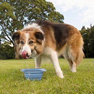 Kurgo Collaps-A-Bowl for Dogs, Collapsible Travel Dog Bowl, Pet Food & Hiking Water Bowl, Food Grade Bowl for Dogs, Travel Accessories for Pets, inclu - Image 5