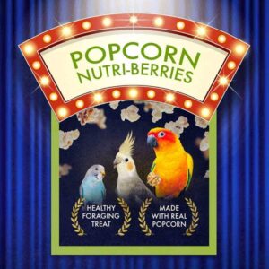 Lafeber's Popcorn Nutri-Berries for Cockatiels 4 oz bag - Image 3