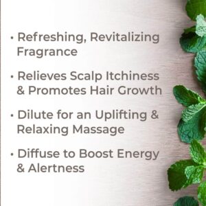 Plant Therapy Peppermint Essential Oil 100% Pure, Pre-Diluted Roll-On, Natural Aromatherapy, Therapeutic Grade 10 mL (1/3 oz) - Image 2