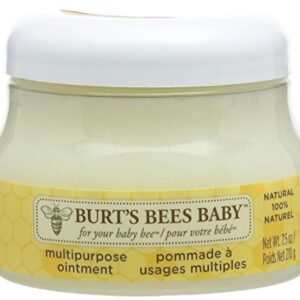 BURTS BEES Baby Bee Multipurpose Ointment, 210 GR - Image 1