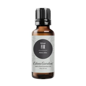 Edens Garden Fir- Silver Essential Oil, 100% Pure Therapeutic Grade, Undiluted Natural Aromatherapy- 30 ml - Image 1