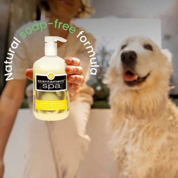 Best Shot Spa Oatmeal Body Wash, Lemon Vanilla, 16 oz - Image 5