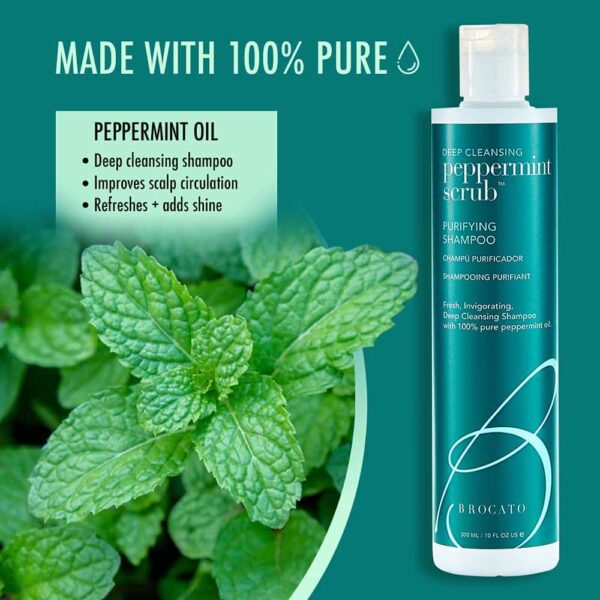 Brocato Peppermint Scrub Purifying Shampoo: Lightweight with Pure Peppermint Oil, Ideal for Oily to Normal Hair Types - Sulfate & Paraben Free, 10oz - Image 5