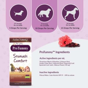 Amber NaturalZ ProTummy Stomach Comfort Herbal Blend for Dogs, Bird, Guinea Pigs, and Rabbits | Herbal Supplement for Occasional Upset Stomach | 1 Flu - Image 4