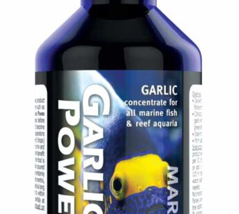 Brightwell Aquatics Garlic Power – Aquarium Food Enhancer 4 oz/125 ML