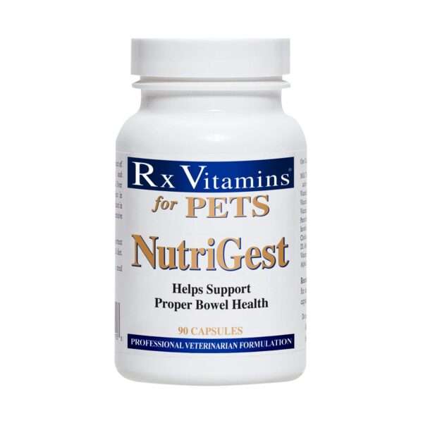 Rx Vitamins for Pets Nutrigest for Dogs & Cats - Helps Support Proper Bowel & Digestive Health - Veterinarian Formulated Probiotic - 90 Caps