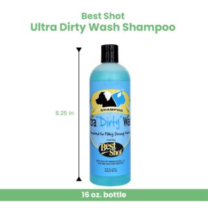 Best Shot Ultra Dirty Wash Shampoo, 16 oz - Image 2