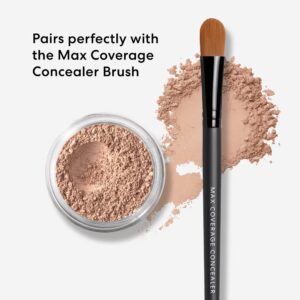 bareMinerals Loose Powder Concealer SPF 20, Mineral-Based Concealer for face, Lightweight Coverage, Conceals Redness + Blemishes, Talc Free, Vegan Con - Image 3