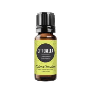 Edens Garden Citronella Essential Oil, 100% Pure Therapeutic Grade (Undiluted Natural Aromatherapy) 10 ml - Image 1