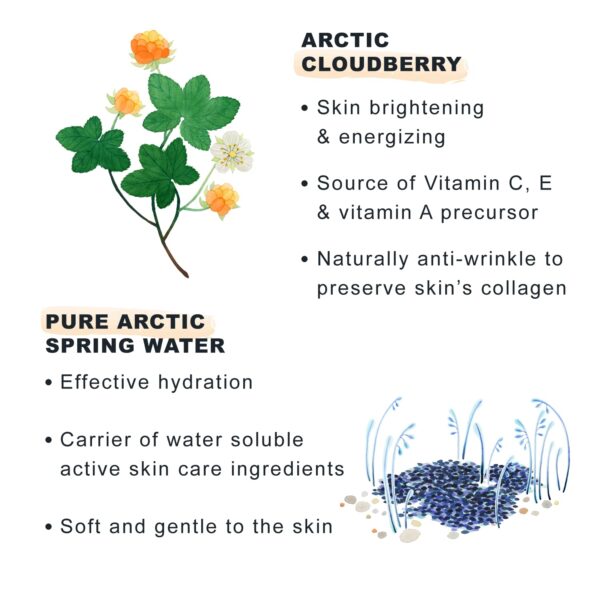 Lumene Nordic-C Glow Reveal Facial Moisturizer - Antioxidant-Rich Vitamin C Face Cream - Hydrating Hyaluronic Acid Moisturizer with Vitamin B3 + B5 to - Image 3