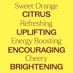 Plant Therapy Sweet Orange Essential Oil 100% Pure, Undiluted, Natural Aromatherapy, Therapeutic Grade 10 mL (1/3 oz) - Image 4