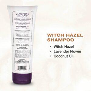 The Grandpa Soap Company Clarifying Witch Hazel Shampoo - Removes Buildup, With Witch Hazel & Lavender Flower, For All Hair Types, Vegan, Sulfates and - Image 2