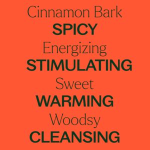 Plant Therapy Cinnamon Bark Essential Oil 10 mL (1/3 oz) 100% Pure, Undiluted, Cinnamon Oil for Diffuser, Spray, Candle Making, Spicy, Sweet Scent, Th - Image 4