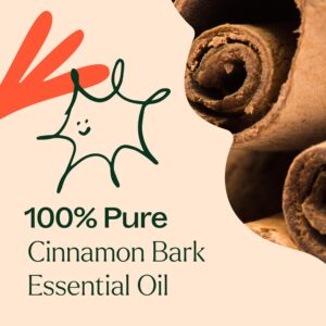 Plant Therapy Cinnamon Bark Essential Oil 10 mL (1/3 oz) 100% Pure, Undiluted, Cinnamon Oil for Diffuser, Spray, Candle Making, Spicy, Sweet Scent, Th - Image 5