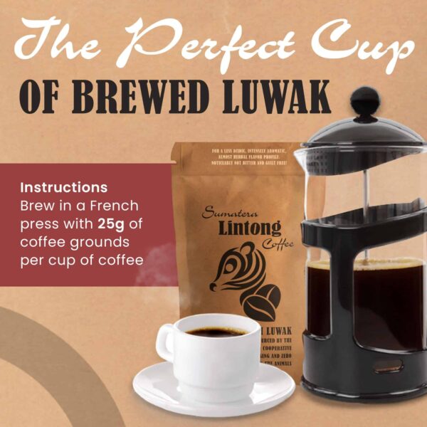 Wild Kopi Luwak, the World?s Most Exclusive Coffee, Sustainably Sourced From Sumatra, Indonesia (100gr / 3.5oz) - Image 4