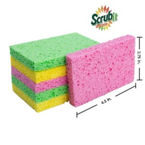 SCRUBIT Cleaning Scrub Sponges - Non-Scratch Kitchen sponges for Dishes -12 Pack Dishwashing Sponge - Assorted Colors - Image 2