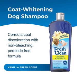 Pet-Ag Fresh ?n Clean Whitening Snowy-Coat Shampoo, Vanilla Scent - 18 oz - Bleach-Free Formula to Correct Yellow Discoloration - Strengthens & Moistu - Image 2